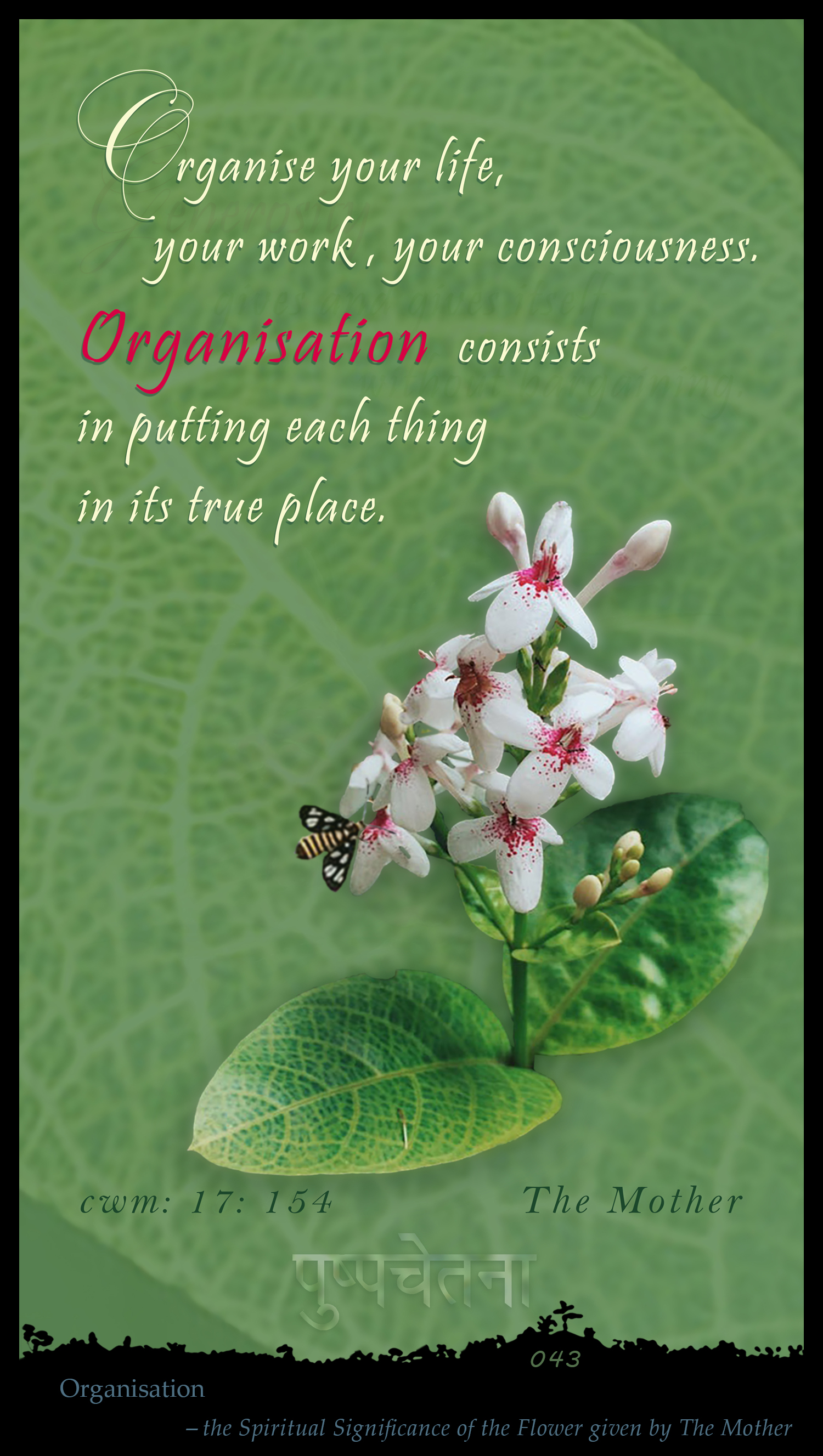 Organisation